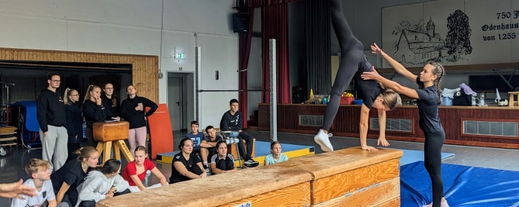 Übungsleitungs-Assistenz-Ausbildung 2015 Übungsleitungs-Assistenz-Ausbildung 2015